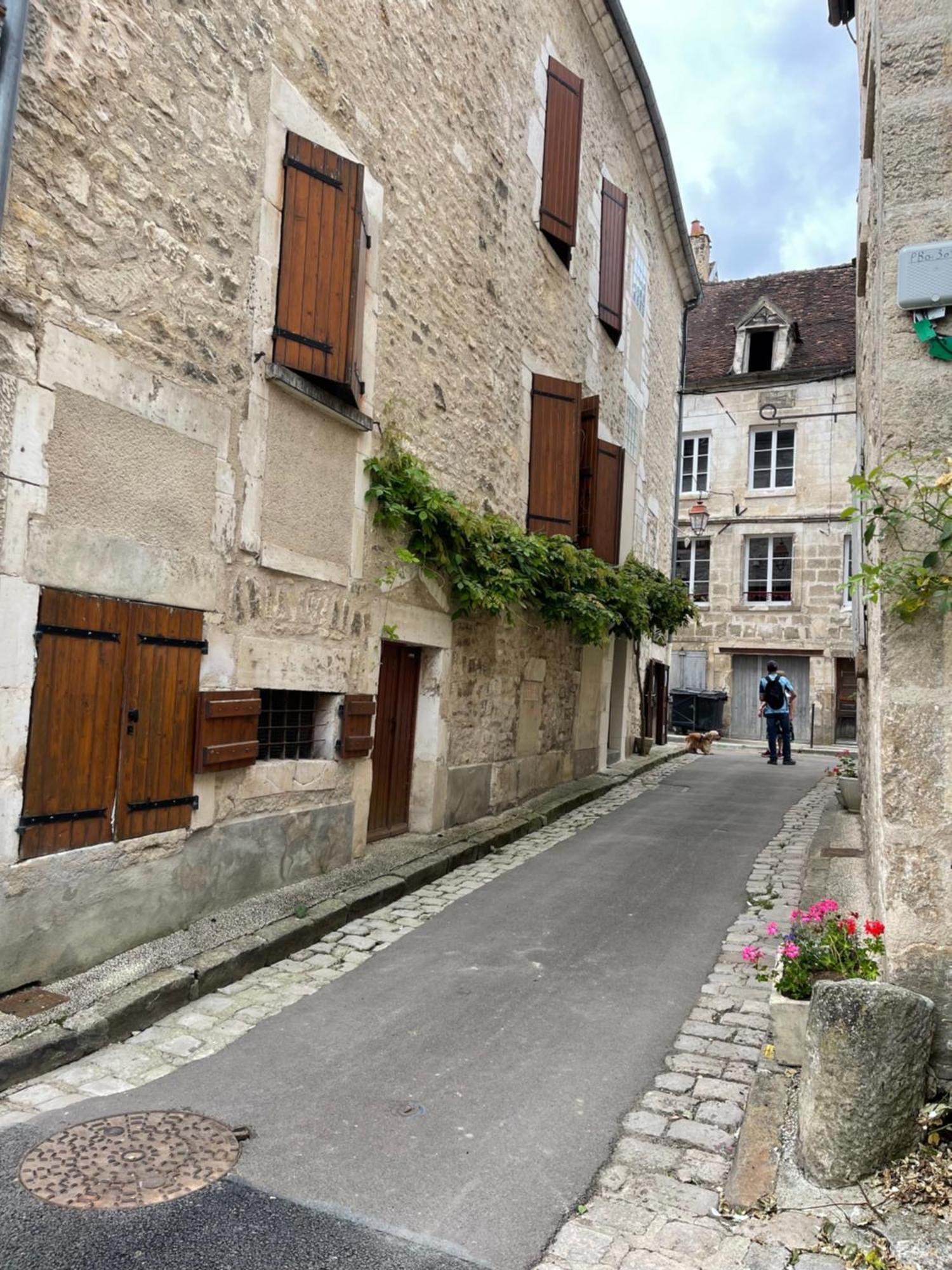 La Maison D'Alienor - Gites De Caractere A Chablis - 89 Екстер'єр фото
